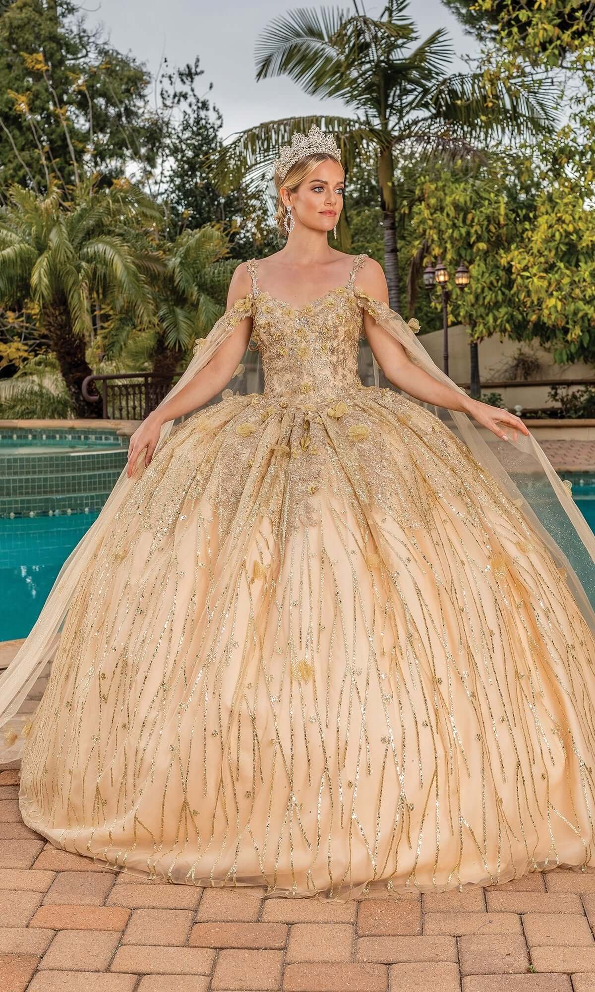 Embroidered Appliqué Bodice Ball Gown with Sheer Sleeves and Voluminous Glitter Tulle Overlay Quinceanera Dress 1830 By Dancing Queen